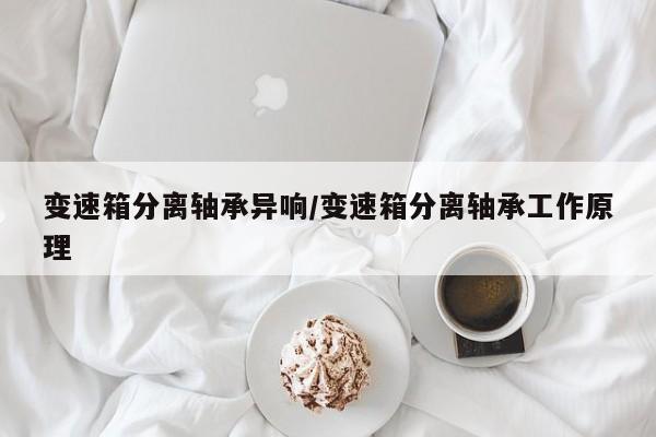变速箱分离轴承异响/变速箱分离轴承工作原理