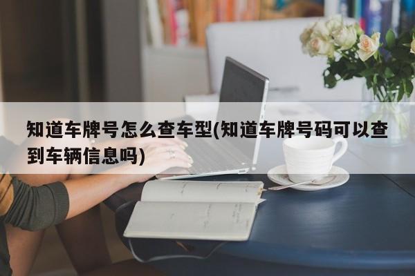 知道车牌号怎么查车型(知道车牌号码可以查到车辆信息吗)