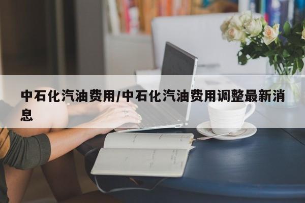 中石化汽油费用/中石化汽油费用调整最新消息