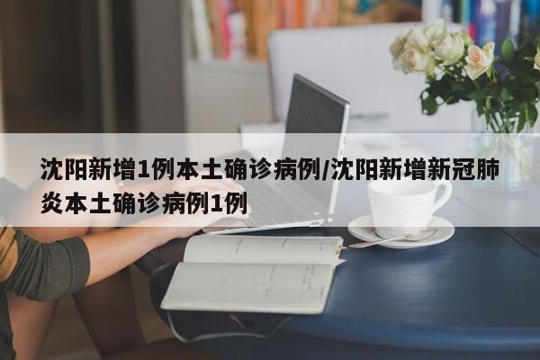 沈阳新增1例本土确诊病例/沈阳新增新冠肺炎本土确诊病例1例