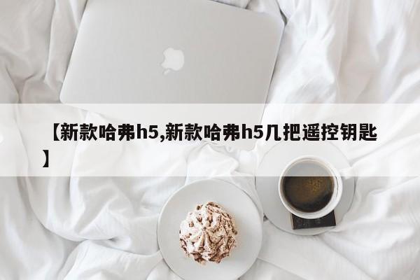 【新款哈弗h5,新款哈弗h5几把遥控钥匙】