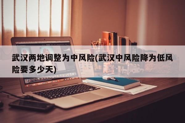 武汉两地调整为中风险(武汉中风险降为低风险要多少天)