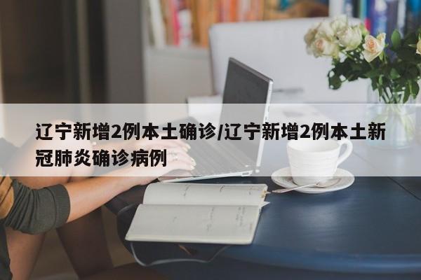 辽宁新增2例本土确诊/辽宁新增2例本土新冠肺炎确诊病例