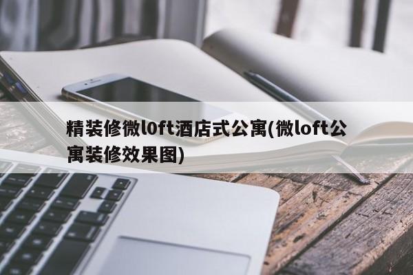 精装修微l0ft酒店式公寓(微loft公寓装修效果图)