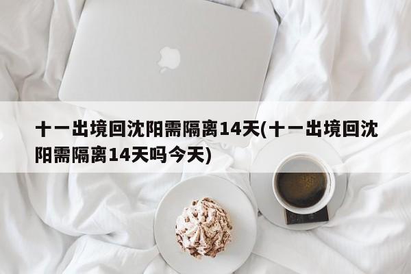 十一出境回沈阳需隔离14天(十一出境回沈阳需隔离14天吗今天)