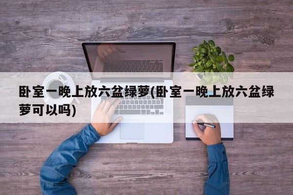 卧室一晚上放六盆绿萝(卧室一晚上放六盆绿萝可以吗)