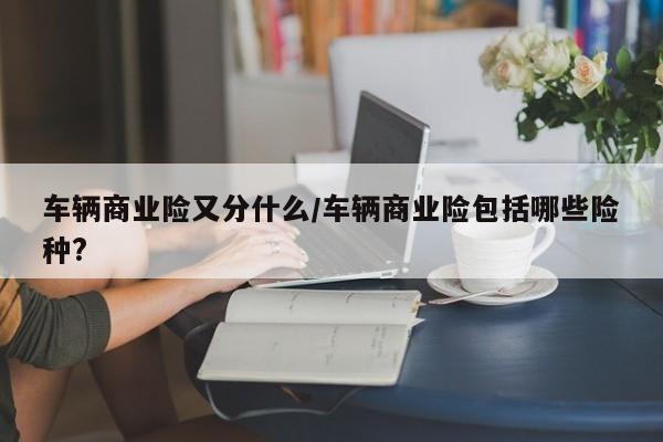 车辆商业险又分什么/车辆商业险包括哪些险种?
