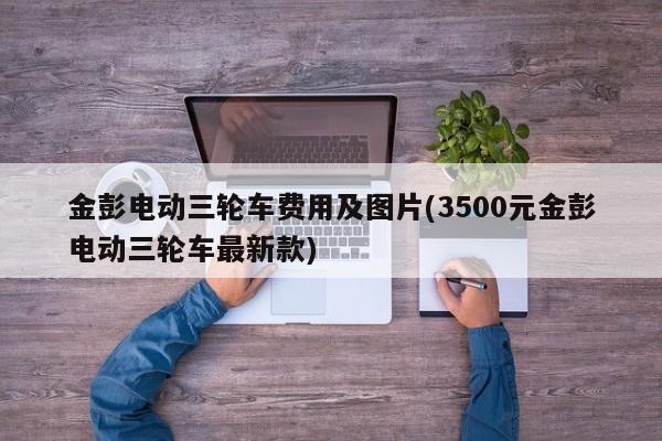 金彭电动三轮车费用及图片(3500元金彭电动三轮车最新款)