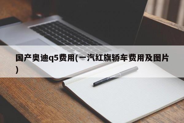 国产奥迪q5费用(一汽红旗轿车费用及图片)