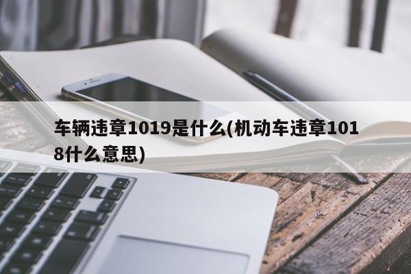 车辆违章1019是什么(机动车违章1018什么意思)