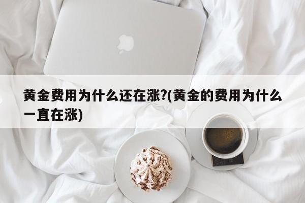 黄金费用为什么还在涨?(黄金的费用为什么一直在涨)