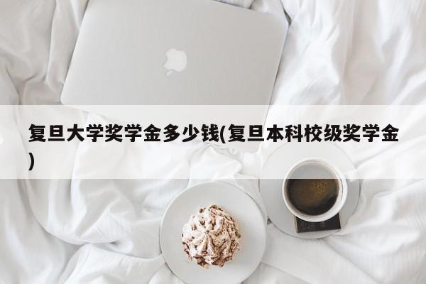 复旦大学奖学金多少钱(复旦本科校级奖学金)