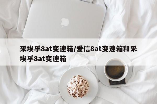 采埃孚8at变速箱/爱信8at变速箱和采埃孚8at变速箱