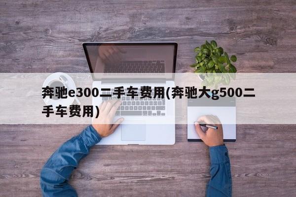奔驰e300二手车费用(奔驰大g500二手车费用)