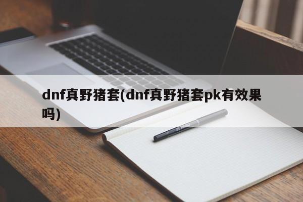 dnf真野猪套(dnf真野猪套pk有效果吗)