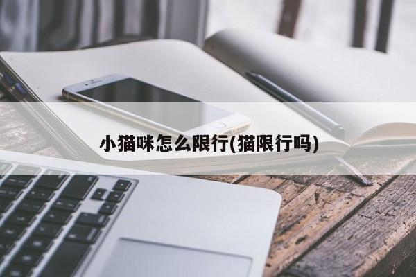 小猫咪怎么限行(猫限行吗)