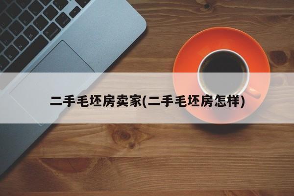 二手毛坯房卖家(二手毛坯房怎样)