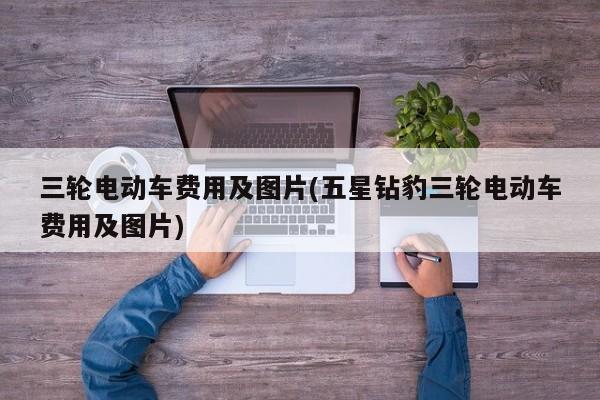 三轮电动车费用及图片(五星钻豹三轮电动车费用及图片)