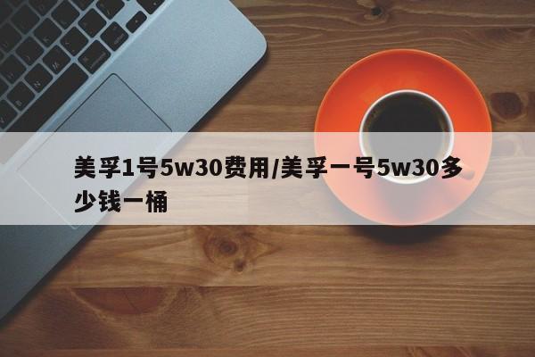美孚1号5w30费用/美孚一号5w30多少钱一桶