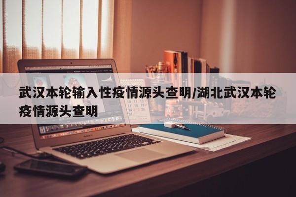 武汉本轮输入性疫情源头查明/湖北武汉本轮疫情源头查明