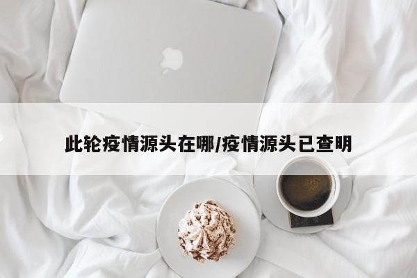 此轮疫情源头在哪/疫情源头已查明