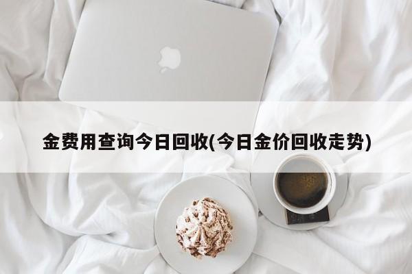 金费用查询今日回收(今日金价回收走势)