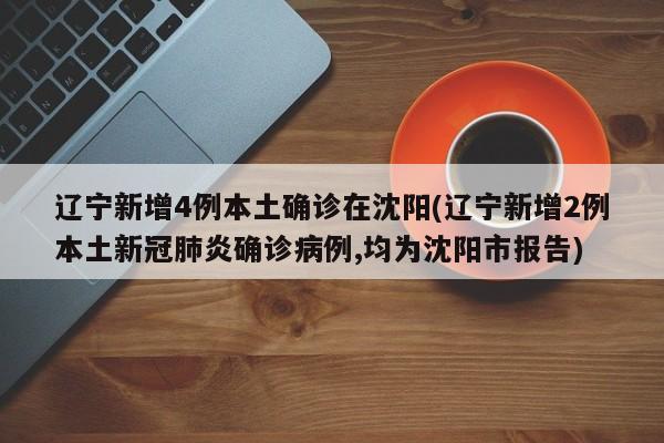 辽宁新增4例本土确诊在沈阳(辽宁新增2例本土新冠肺炎确诊病例,均为沈阳市报告)