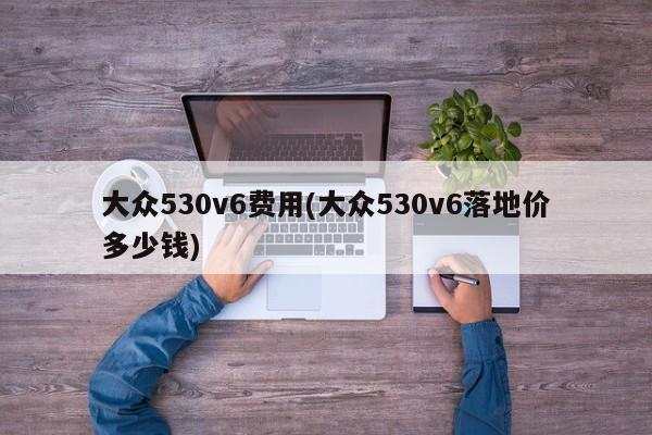 大众530v6费用(大众530v6落地价多少钱)