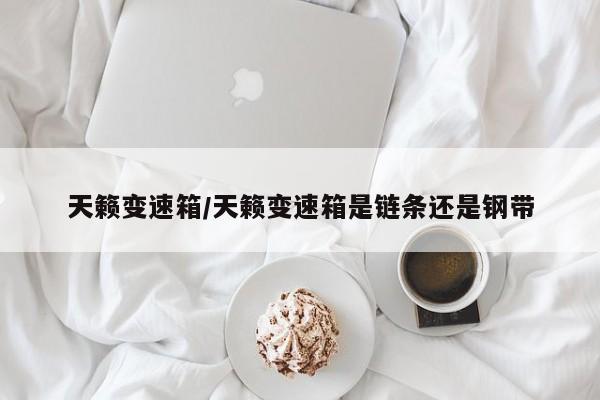 天籁变速箱/天籁变速箱是链条还是钢带