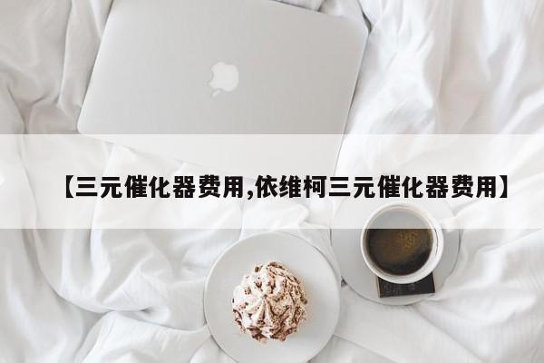 【三元催化器费用,依维柯三元催化器费用】