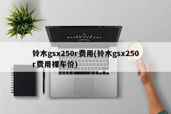 铃木gsx250r费用(铃木gsx250r费用裸车价)