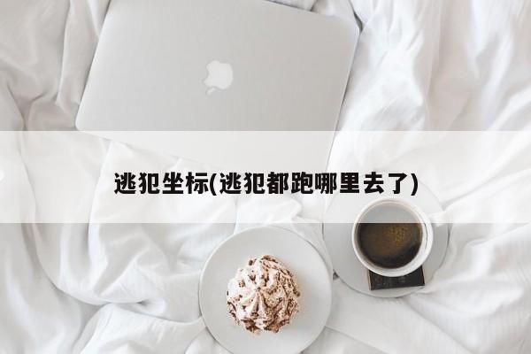 逃犯坐标(逃犯都跑哪里去了)