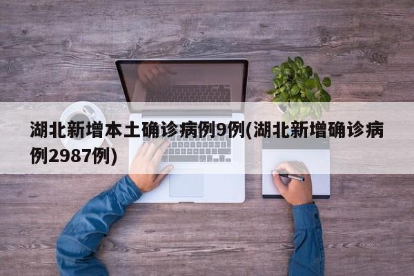 湖北新增本土确诊病例9例(湖北新增确诊病例2987例)