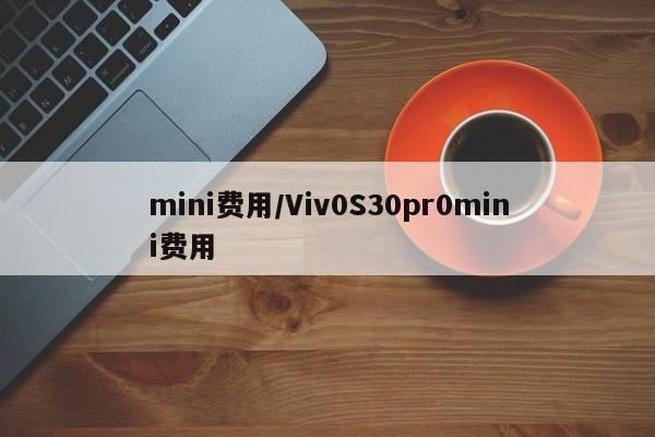 mini费用/Viv0S30pr0mini费用