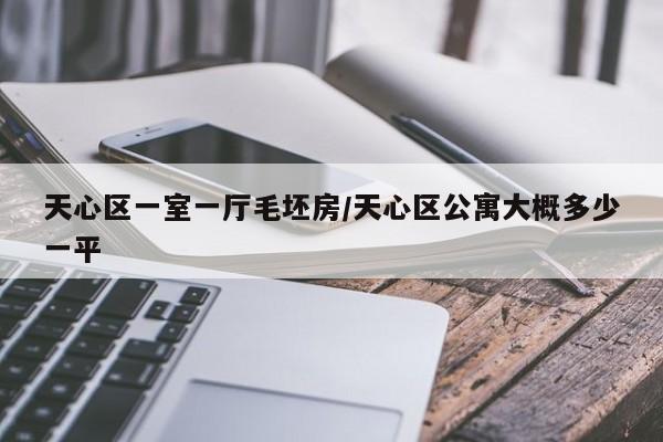 天心区一室一厅毛坯房/天心区公寓大概多少一平