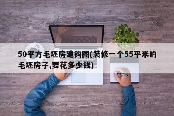 50平方毛坯房建钩图(装修一个55平米的毛坯房子,要花多少钱)