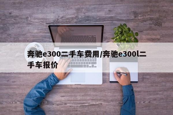 奔驰e300二手车费用/奔驰e300l二手车报价