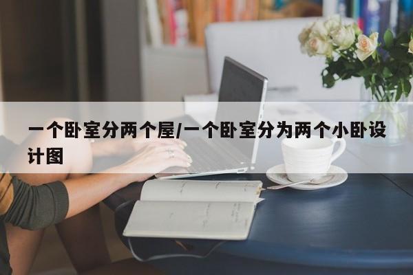一个卧室分两个屋/一个卧室分为两个小卧设计图