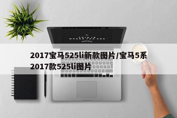 2017宝马525li新款图片/宝马5系2017款525li图片